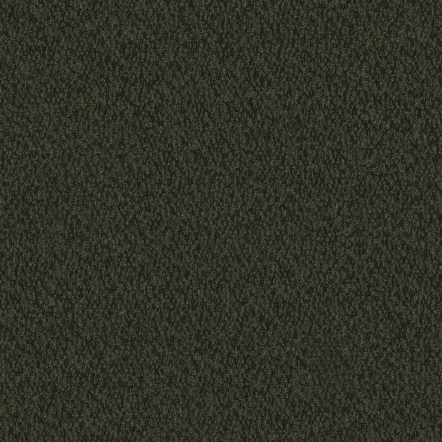 Everest - Fern Free Sample