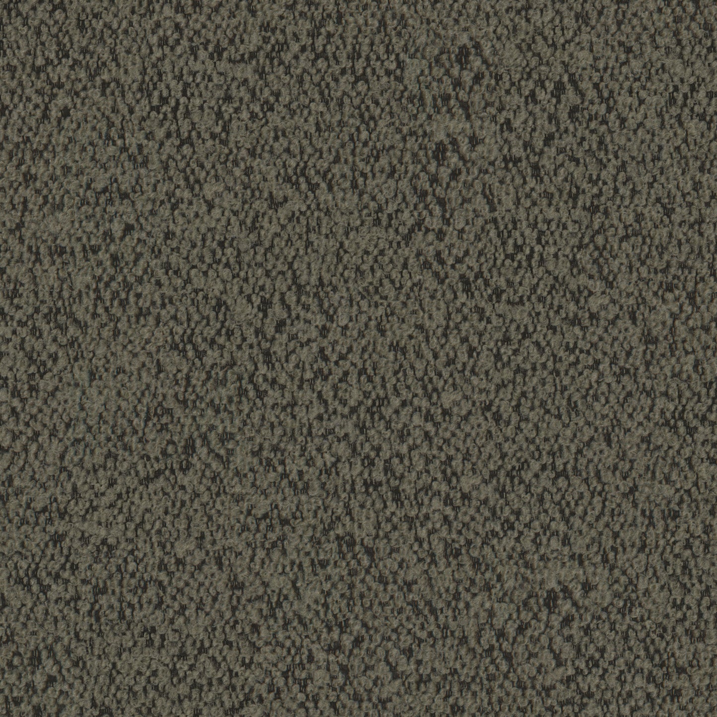 Everest - Lichen Free Sample