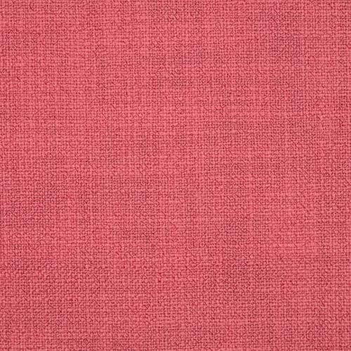 Olympia - Coral Free Sample