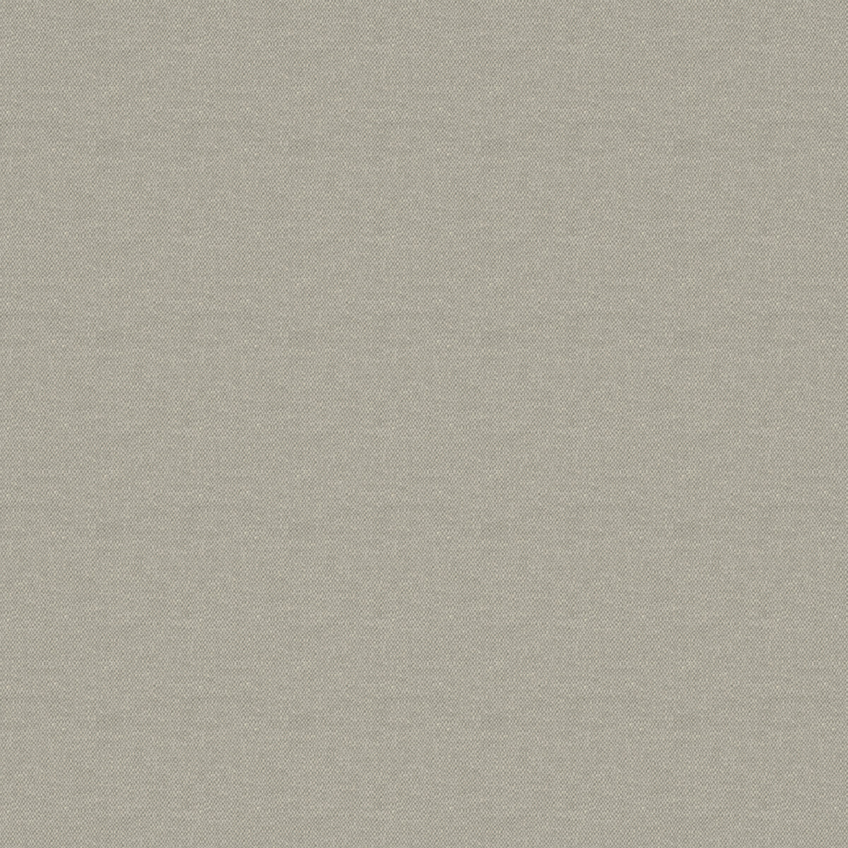Splash - Chino Free Sample