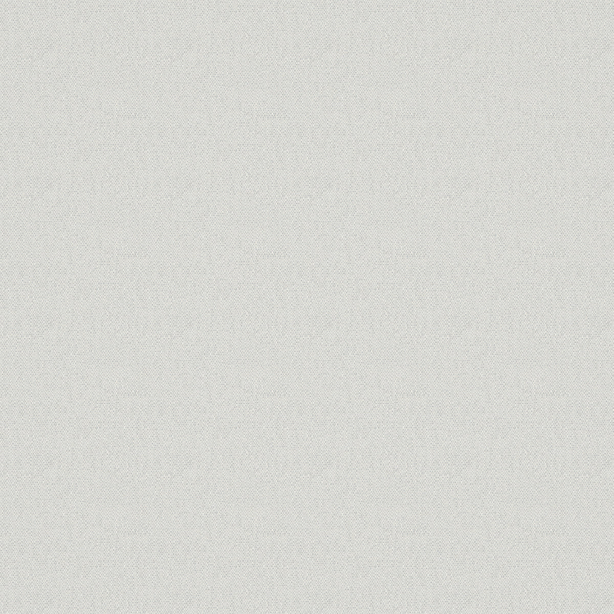 Splash - Optic Free Sample