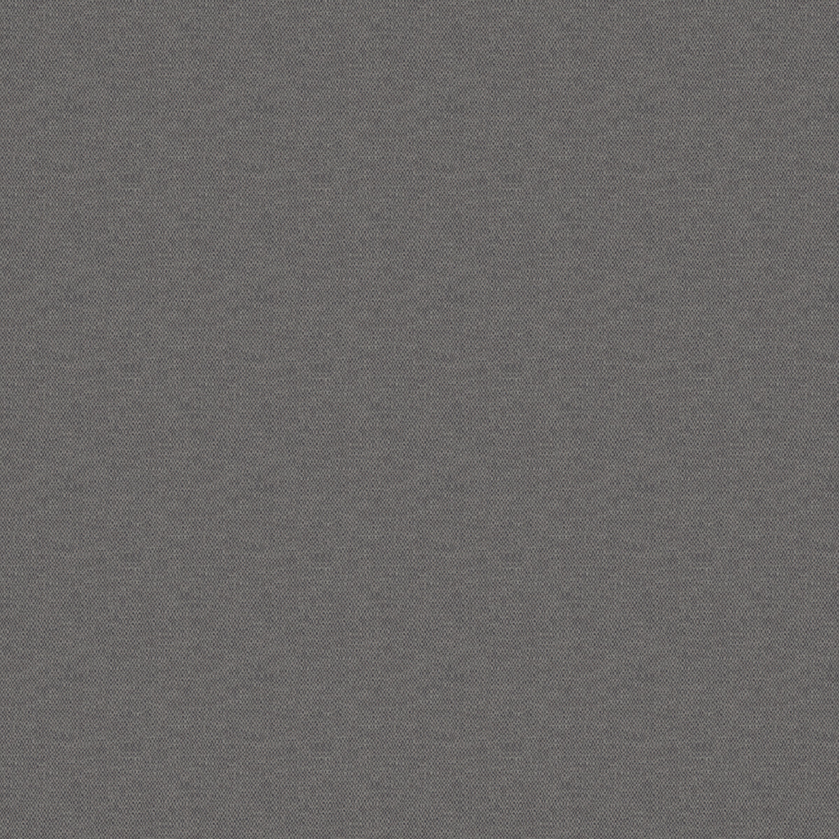 Splash - Pewter Free Sample