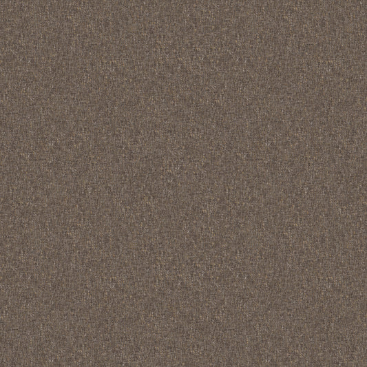 Denali - Mocha Free Sample