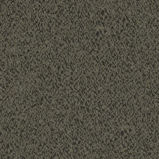 Everest - Lichen Free Sample