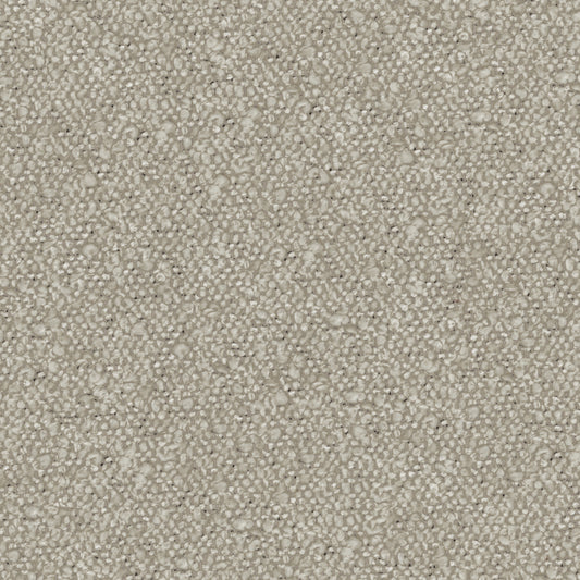 Andes - Pumice Free Sample