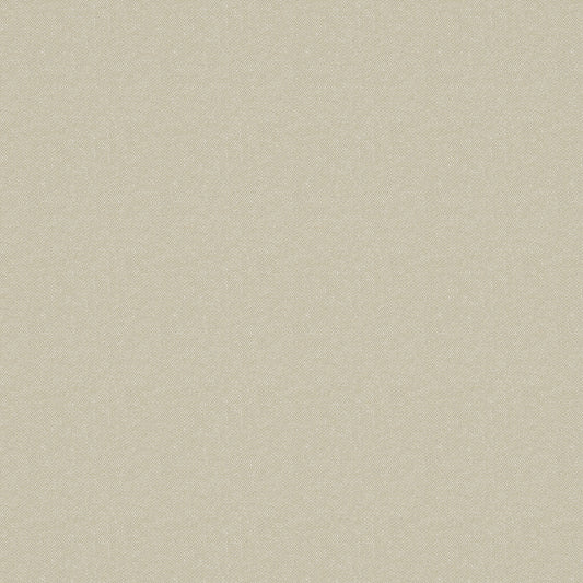 Splash - Ivory Free Sample