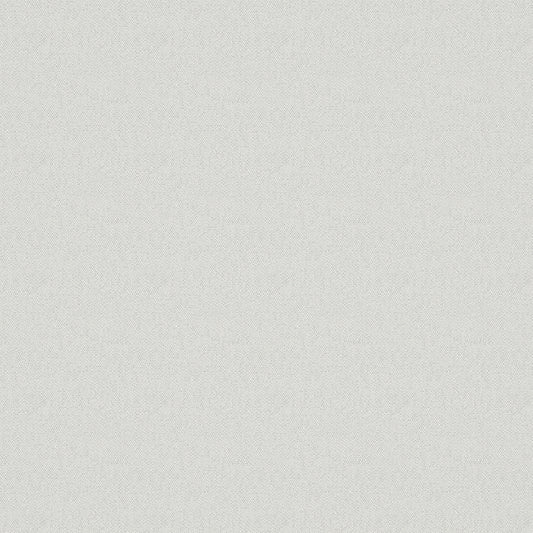 Splash - Optic Free Sample