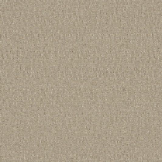 Splash - Papyrus Free Sample